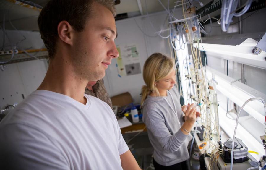 Students shown working in a laboratory