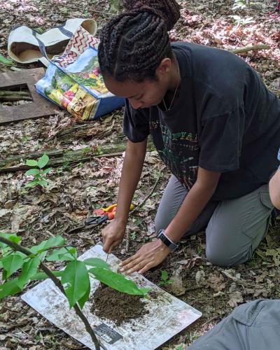 A student taking a soil sample in the forest