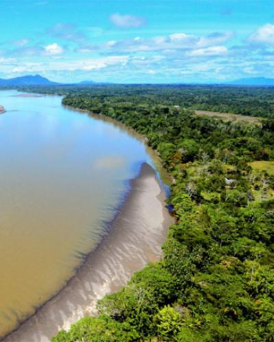  Amazon River by Alvaro del Campo-The Field Museum
